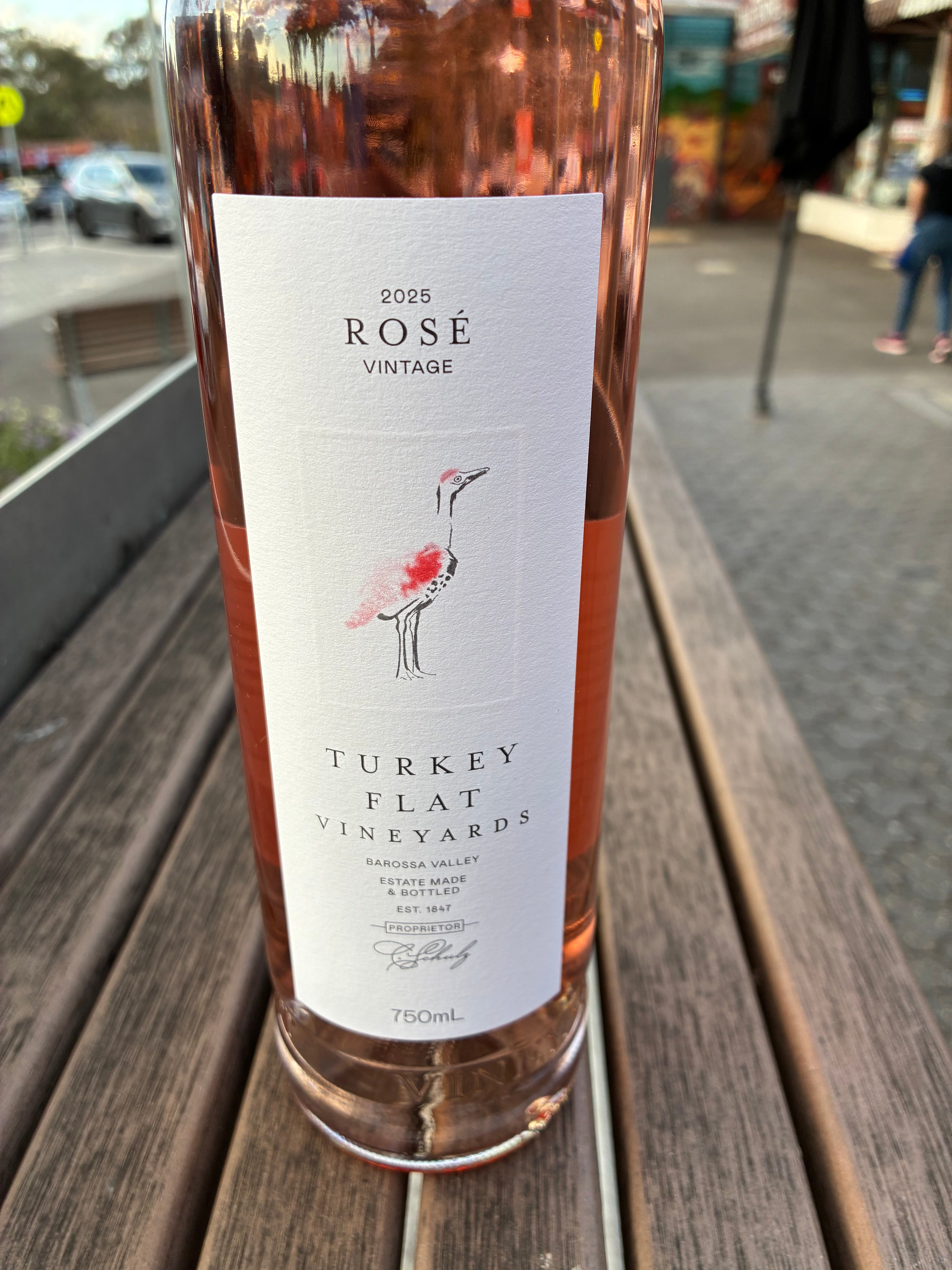 Turkey Flat Rose 2025