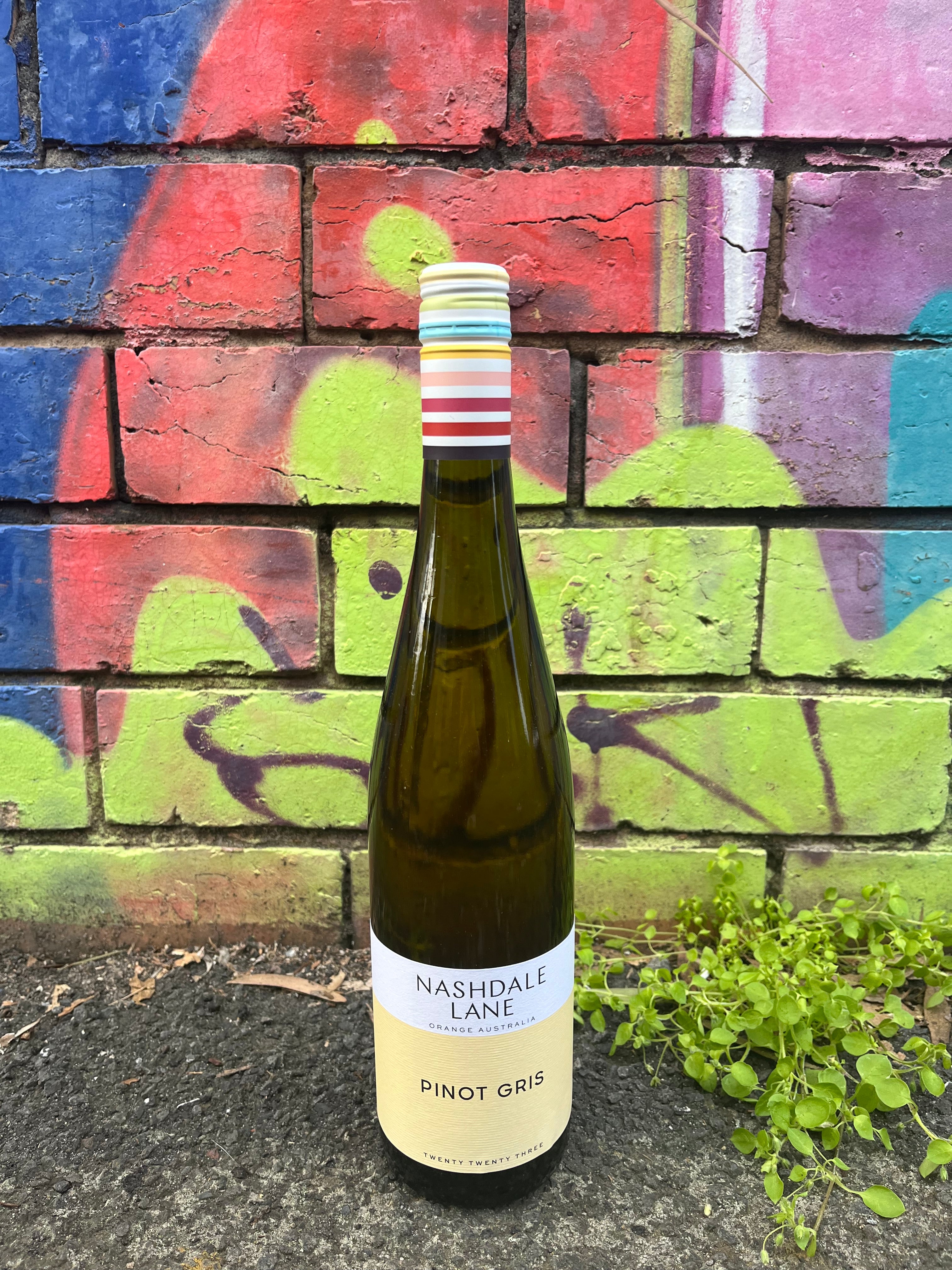 Nashdale Lane Pinot Gris 2025
