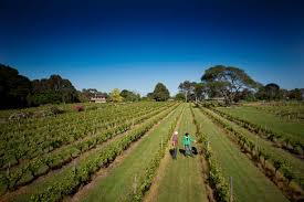 New Releases from Wantirna Estate
