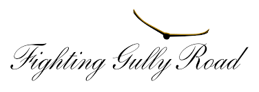 Fighting Gully Road