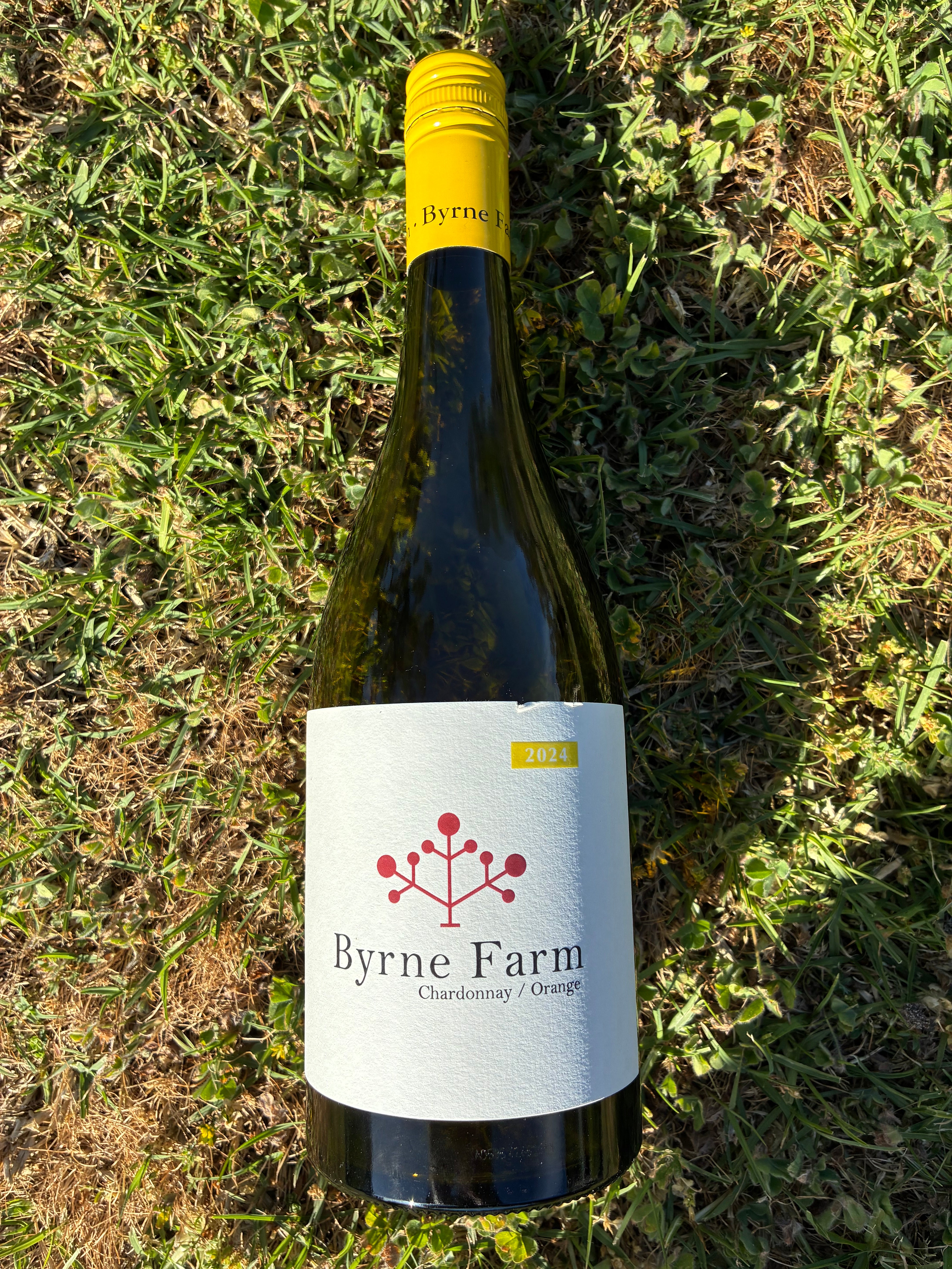 Byrne Farm Chardonnay 2024