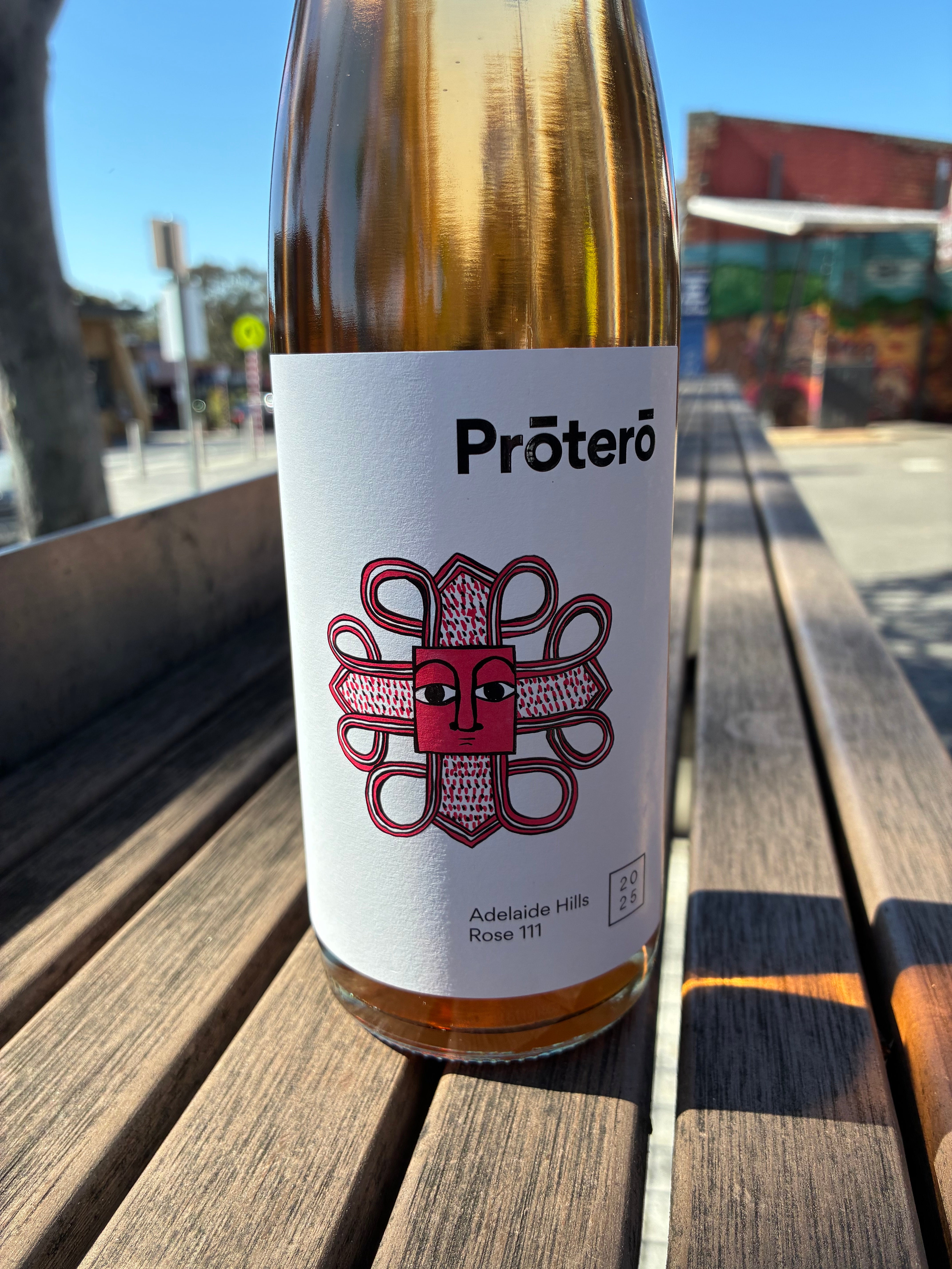 SC Pannell 'Protero' Rose 2025