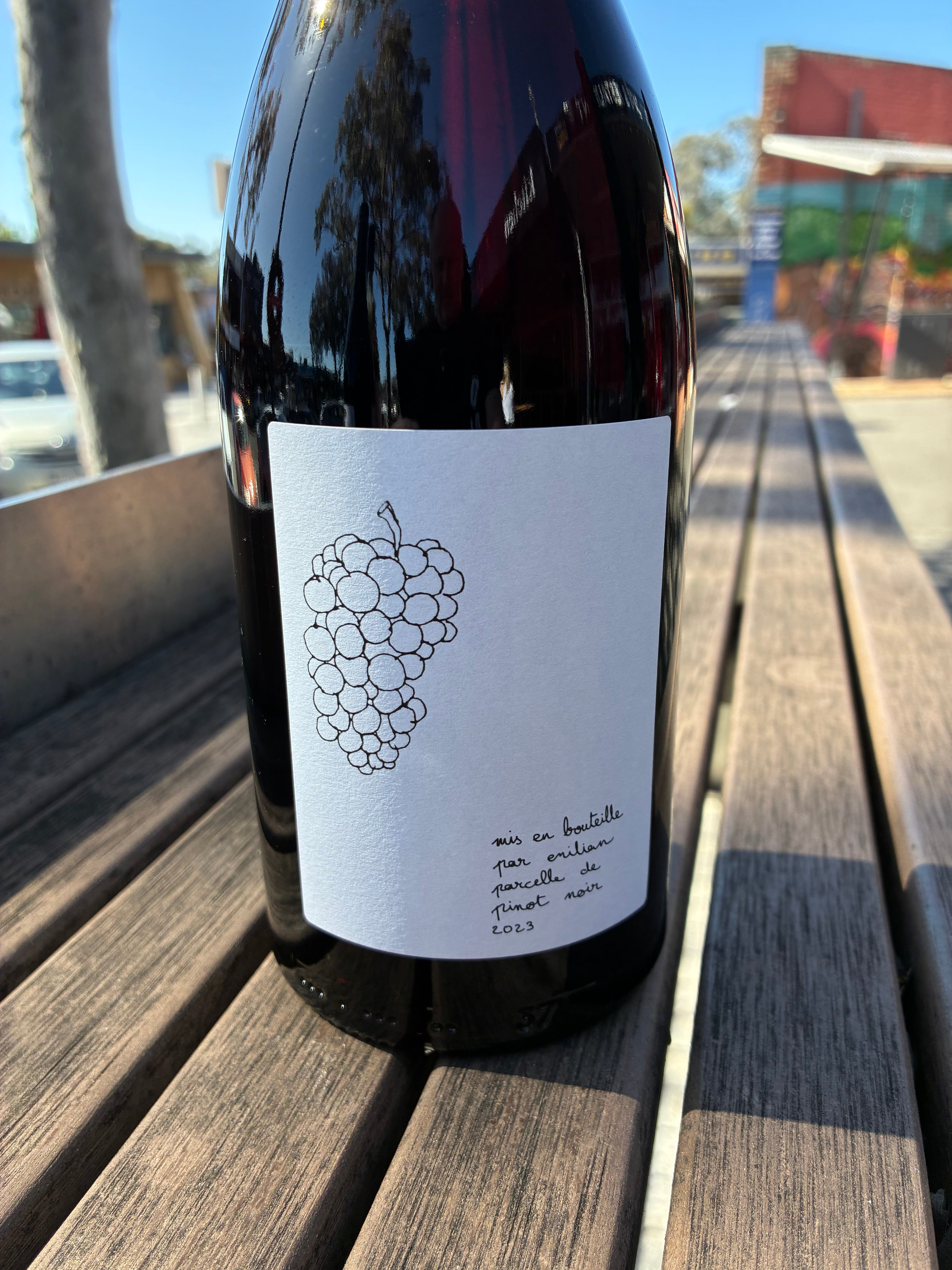 Emilian 'Single Vineyard' Pinot Noir 2023